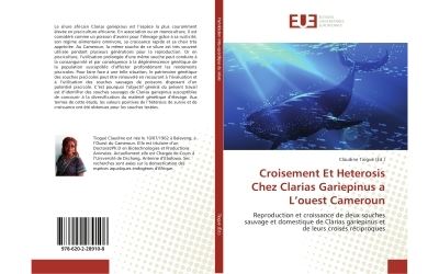 Croisement et heterosis chez clarias gariepinus a l'ouest ca