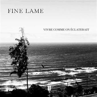 Fine Lame - 1