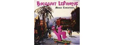 Music evolution/180gr - Buckshot Lefonque - Vinyle album - Achat