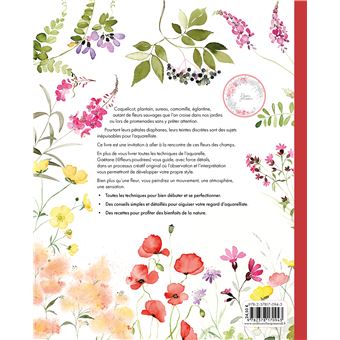 Aquarelle fleurs des champs