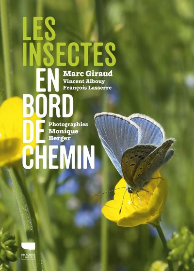 Les Insectes en bord de chemin - Vincent Albouy - cartonné