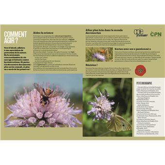 Les Insectes en bord de chemin