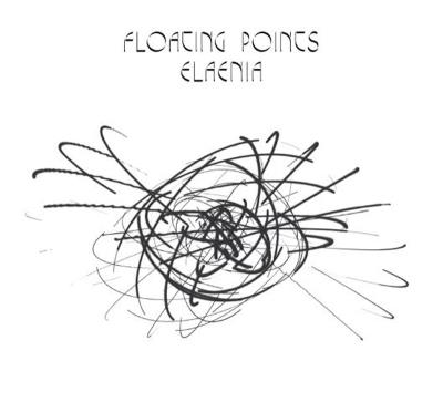 Elaenia