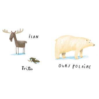Nous sommes là - Le livre des animaux