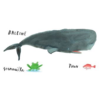 Nous sommes là - Le livre des animaux