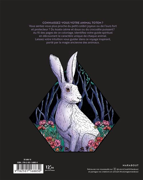 Animal Totem Les couleurs de l'âme - 46 coloriages mystiques - broché -  Stratten Petterson - Achat Livre | fnac