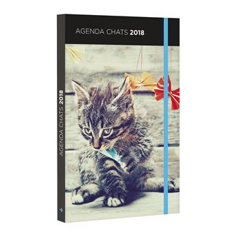 Agenda Chats 18 Broche Collectif Achat Livre Fnac