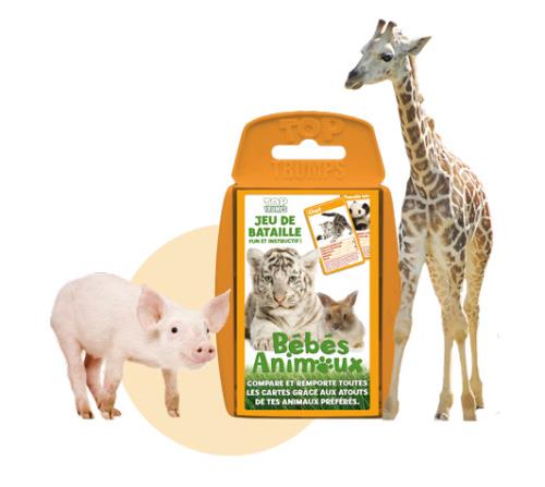 Bébés animaux Winning Moves