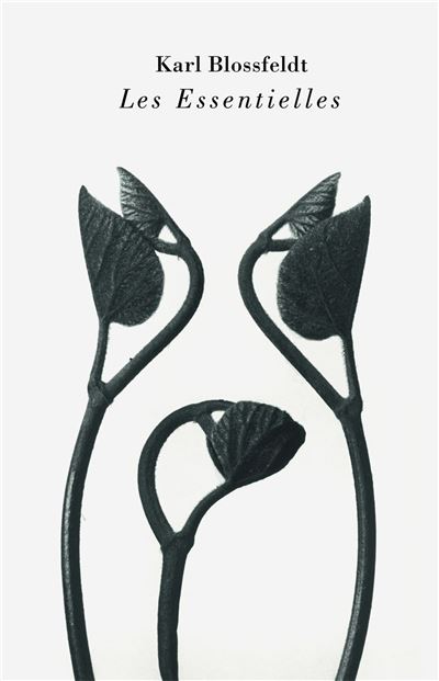 Karl Blossfeldt