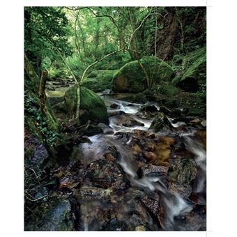 Forêts enchantées de France