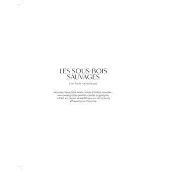 Forêts enchantées de France