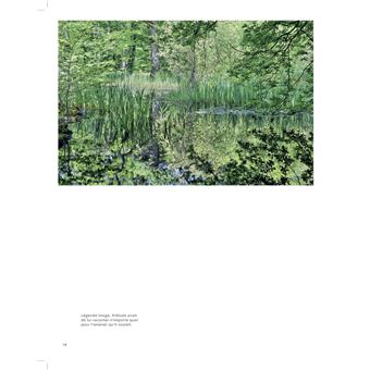 Forêts enchantées de France