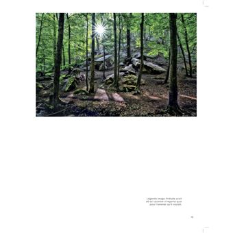 Forêts enchantées de France