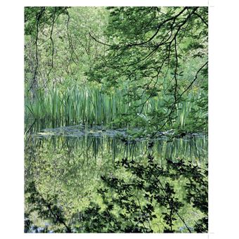 Forêts enchantées de France