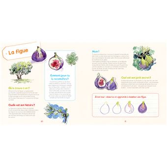 Je découvre les fruits