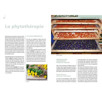 Soins naturels pour le chat