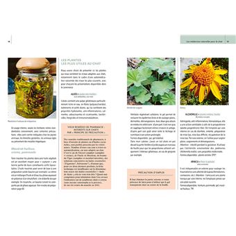 Soins naturels pour le chat