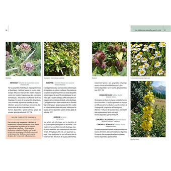 Soins naturels pour le chat