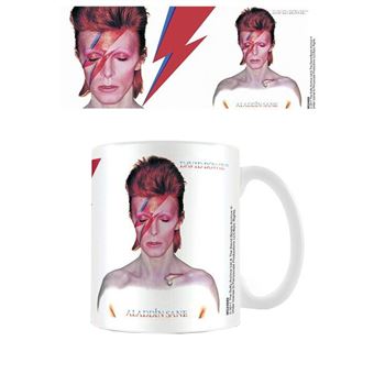 Mug Aladdin Sane