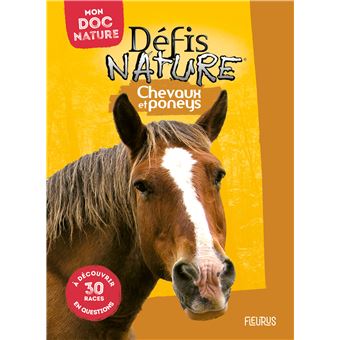 Chevaux et poneys