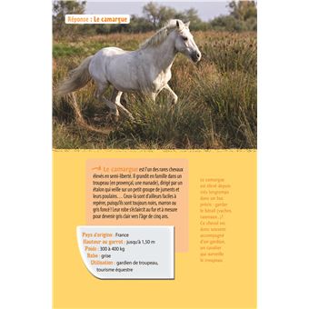 Chevaux et poneys