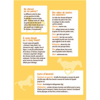 Chevaux et poneys
