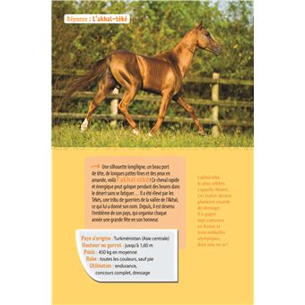 Chevaux et poneys