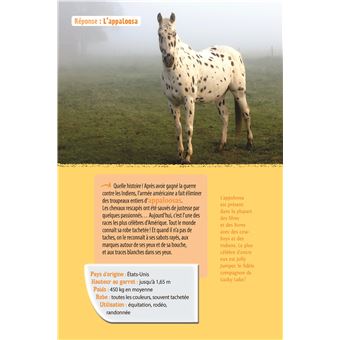 Chevaux et poneys