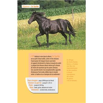 Chevaux et poneys