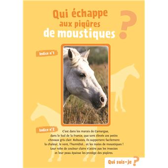 Chevaux et poneys