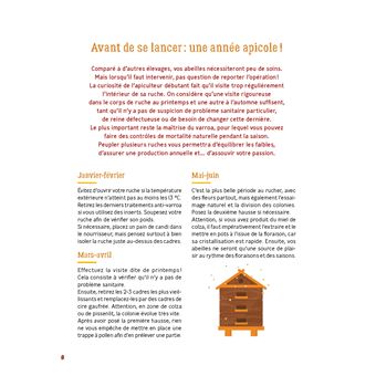 12 mois avec mes ruches