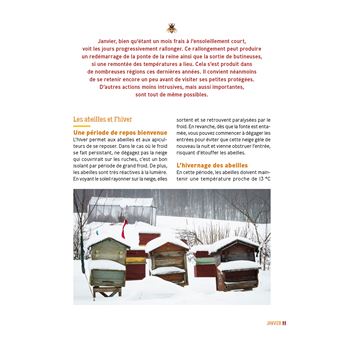 12 mois avec mes ruches