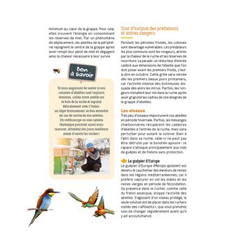 12 mois avec mes ruches