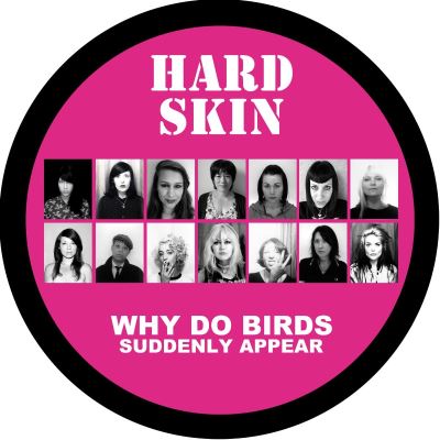 Why do birds suddenly appear/picture disc
