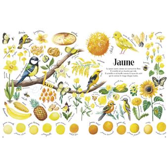 Toutes les couleurs de la nature