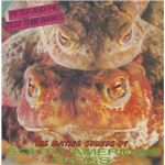 The Mating Sounds Of South American - Vinilo