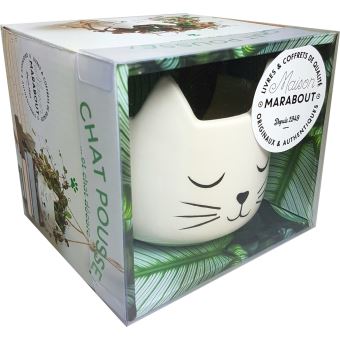 Chat Pousse Et Chat Decore Boite Ou Accessoire Collectif Achat Livre Fnac