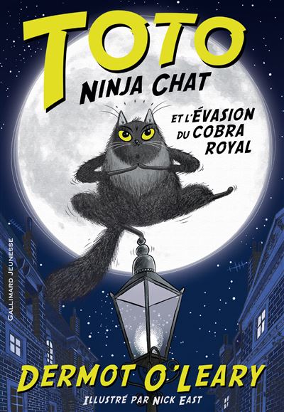 Toto Ninja chat et l'évasion du cobra royal - Dermot O'Leary - broché