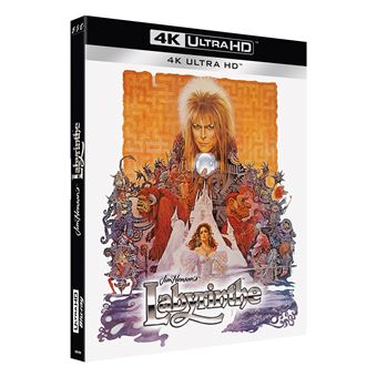 Blu Ray - Le Labyrinthe : Le Labyrinthe(4K Ultra-HD + Blu-ray + Dig