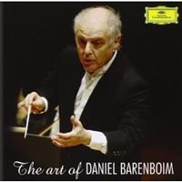 The Art of Daniel Bareboim
