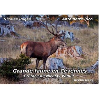 Grande faune en Cévennes