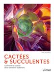 Cactées et succulentes - Comment les cultiver et les entretenir facilement