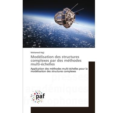 Modélisation des structures complexes par des méthodes multi-échelles