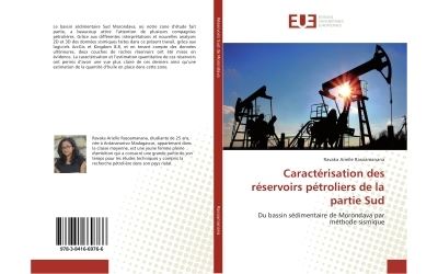 Caracterisation des reservoirs petroliers de la partie sud -