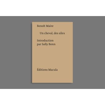 Un cheval, des silex