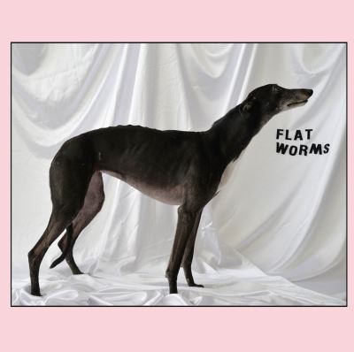 FLAT WORMS/LP