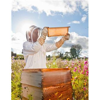 Mon cahier d'apiculteur