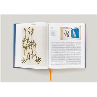 Anna Atkins. Cyanotypes