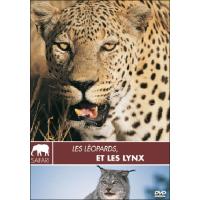 Les léopards et les lynx - Collection safari