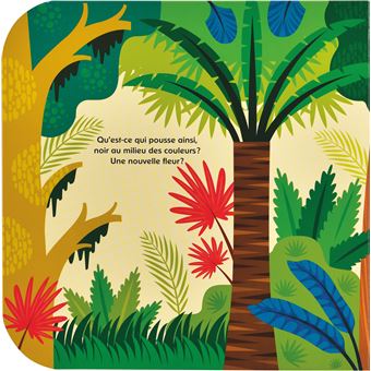 Cache-cache dans la jungle !